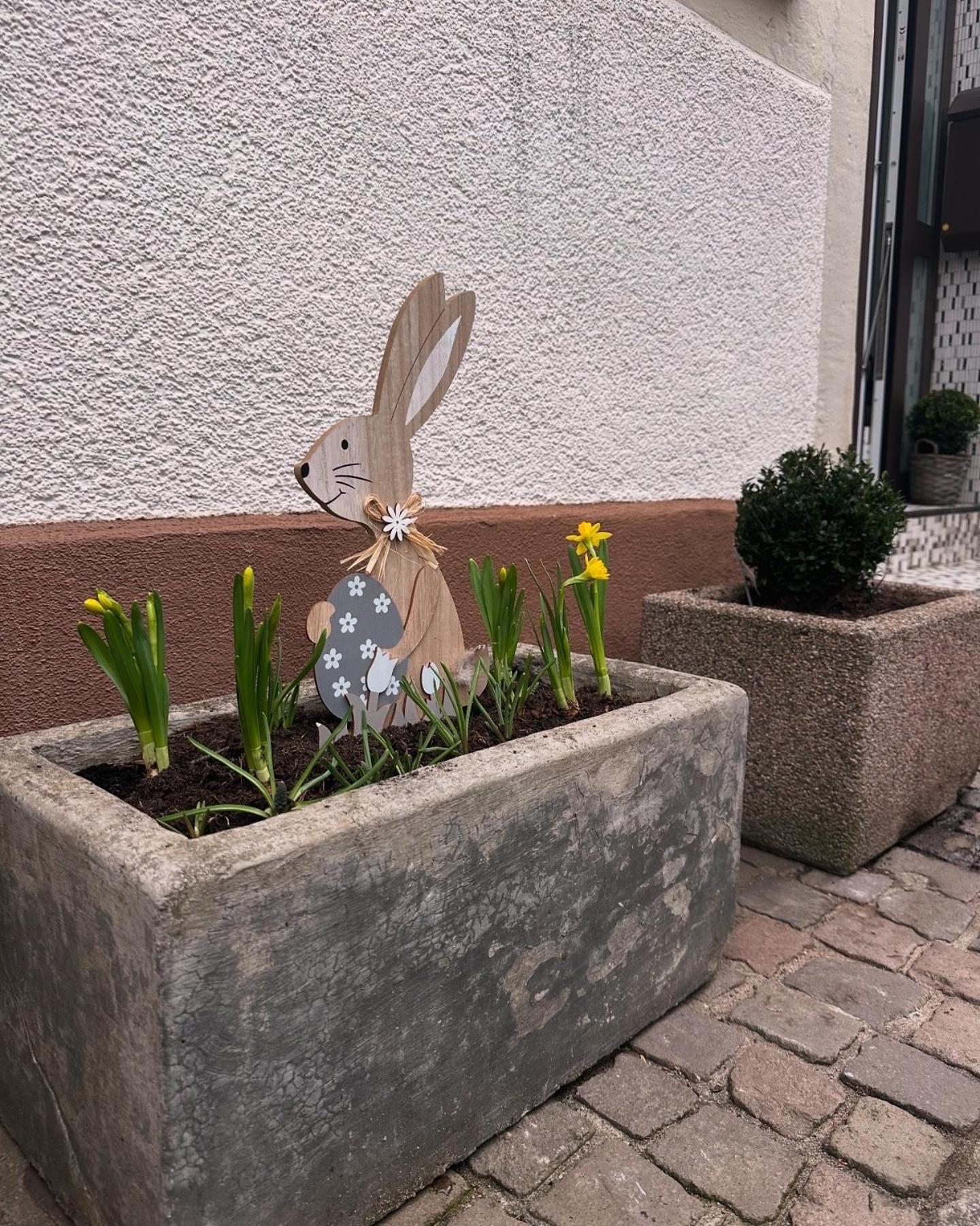 Ferienwohnung Am Berg Bad Bergzabern Exteriör bild